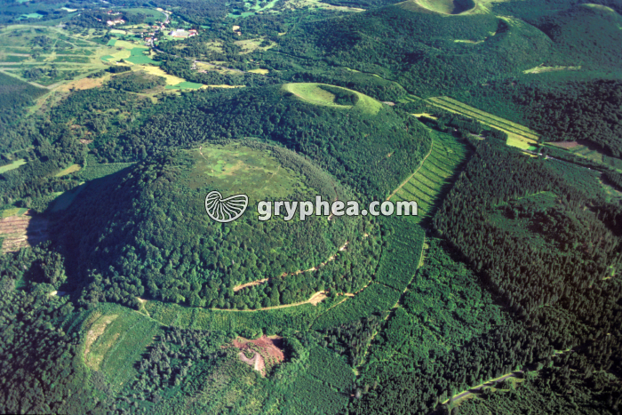 Grand Sarcoui - gryphea.com